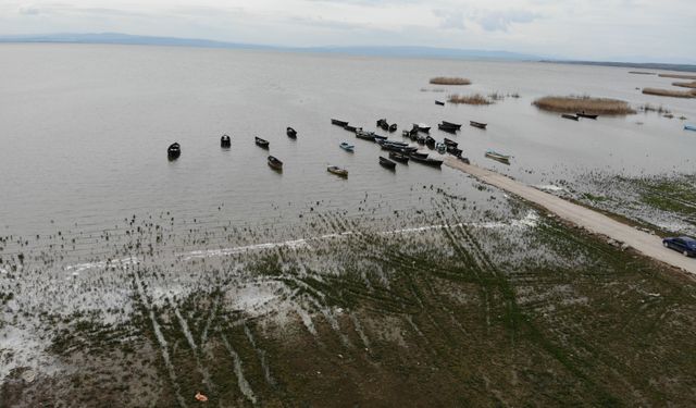 Balıkesir Manyas Kuşgölü'nü kuraklık vurdu