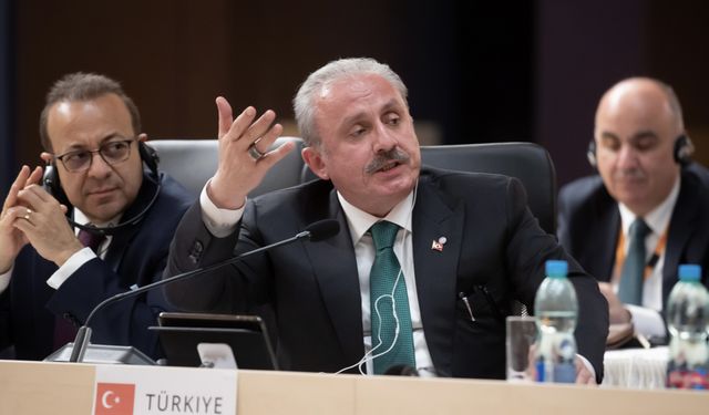 TBMM Başkanı Şentop'tan, GKRY Meclis Başkanı Dimitriu'ya ders niteliğinde 'işgal' cevabı