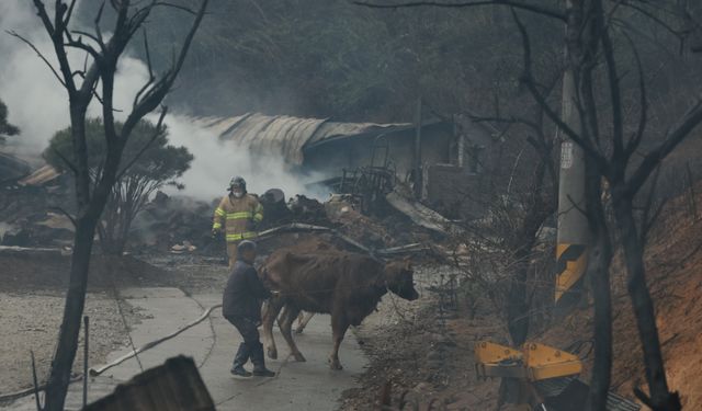 Güney Kore'deki orman yangını faciası: 1 ölü, 3 yaralı