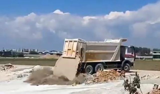 Antalya Kepez ilçesinde katliam! Yavru köpeklerin üzerine beton atık suyu döktü