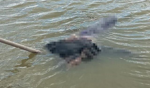 Edirne Uzunköprü ilçesinde arefe günü kaybolan yaşlı kadının cesedi balıkçıların oltasına takıldı