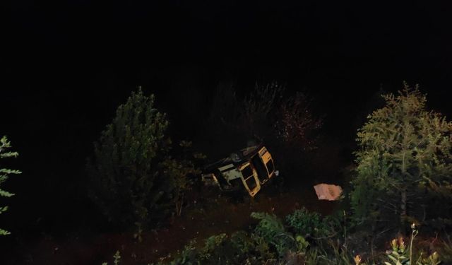 Kocaeli'de ehliyetsiz sürücü ağaçlık alana uçtu: 2 yaralı