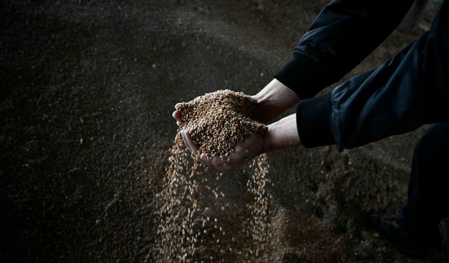 Sözcü Peskov: Koşullar tahıl anlaşmasının uzatılması lehine değil