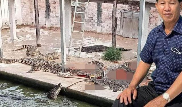 Kamboçya’da korkunç olay! Çiftçi, timsahlarla dolu havuza düştü