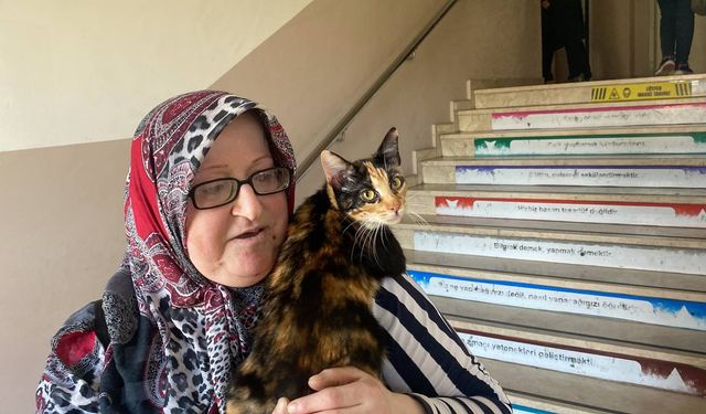 Düzce'de Mesire Beşel oy kullanmaya omzunda kedisiyle gitti