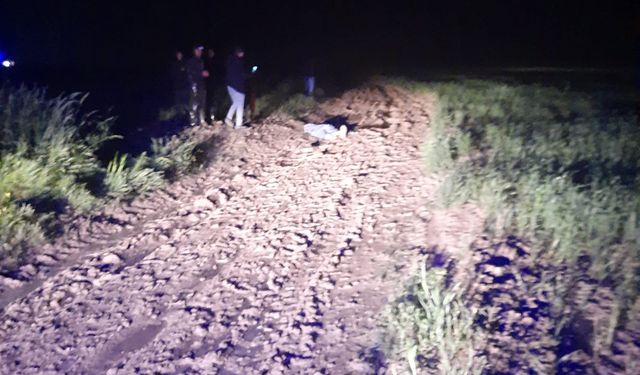 Konya Karapınar ilçesi Çukurca Yaylası'nda üstlerine yıldırım düştü: 1 ölü, 1 yaralı