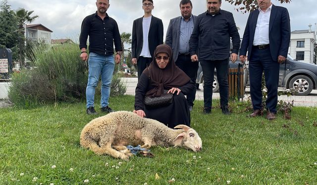Seçimi Cumhurbaşkanı Erdoğan'ın kazanması halinde adak adayan Emine Kırık belediyenin bahçesinde koç kestirdi