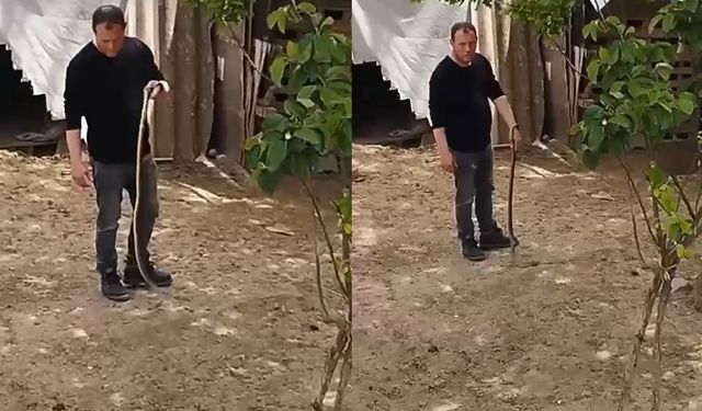 Bursa’da bir vatandaş koca yılanı elleriyle yakaladı