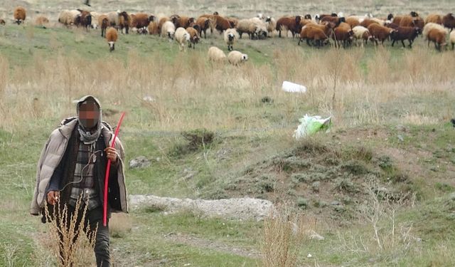 Erzurum’da canlı bomba diye ihbar edilen kişi, çoban çıktı