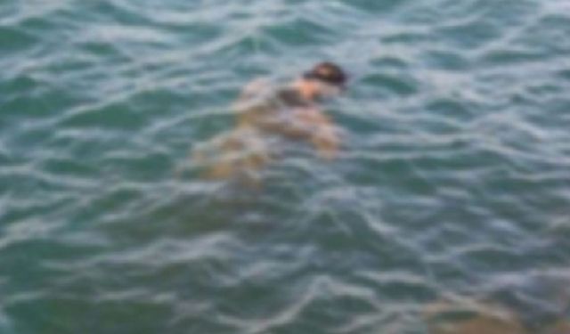 Denizde sır ölüm! Erkek bedenine ait ceset bulundu