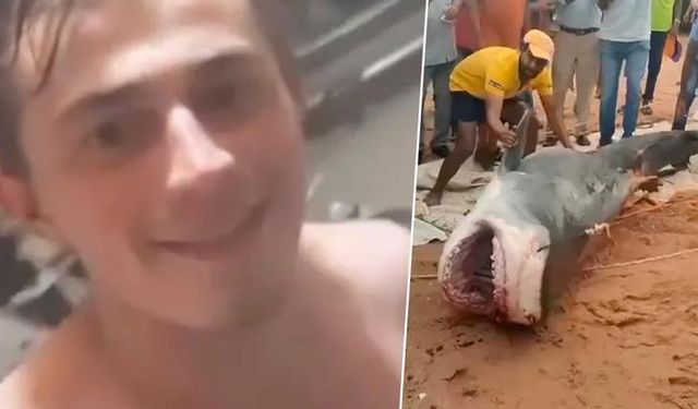 Rus turistin cesedine ulaşmak için köpek balığı yakalanıp karnı yarıldı