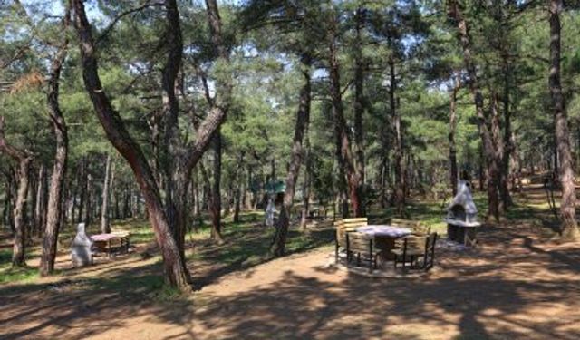 Bursa ve birçok ilçesinde piknik ve mesire alanlarında ateş yakmak yasaklandı