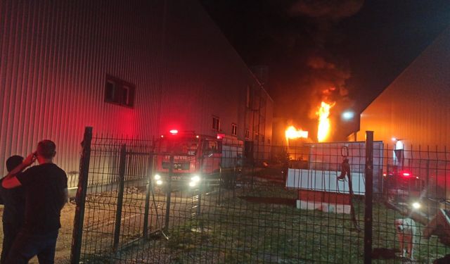 Bursa Nilüfer ilçesinde Galip Sakder'e ait kauçuk fabrikasında yangın
