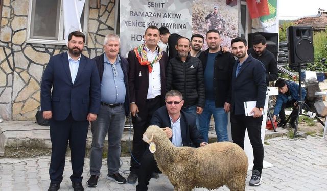 Bursa Büyükorhan'da kuzu, 82 bin 500 liraya satıldı!