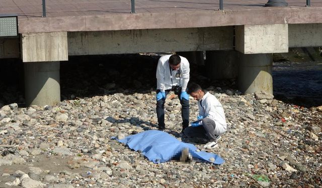 Deniz kenarında erkek cesedi bulundu