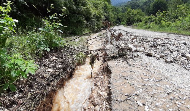Bolu'da kuvvetli yağış heyelana sebep oldu! O anlar kamerada