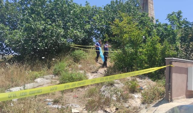İzmir Selçuk ilçesinde ağaçların arasında ölü bulunan şahsın ailesi tarafından öldürüldüğü öğrenildi