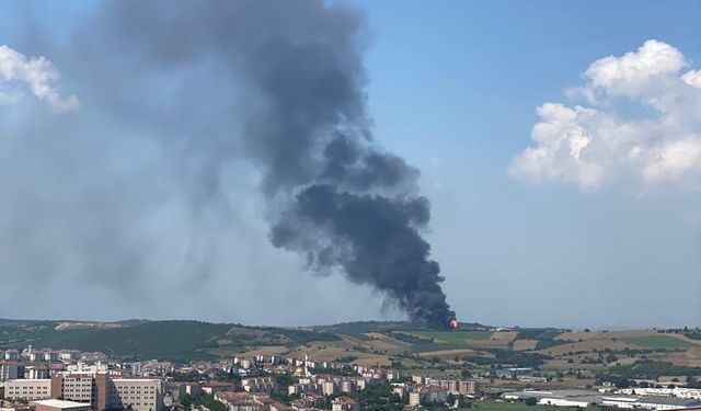 Bursa Nilüfer'de fabrika yangını