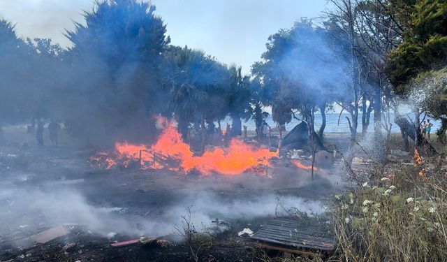 Aydın Kuşadası ilçesinde arazi yangınında sabotaj iddiası