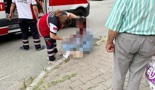 Ataşehir’de başıboş köpek saldırısı! Kadının boynunu ve başını parçaladı