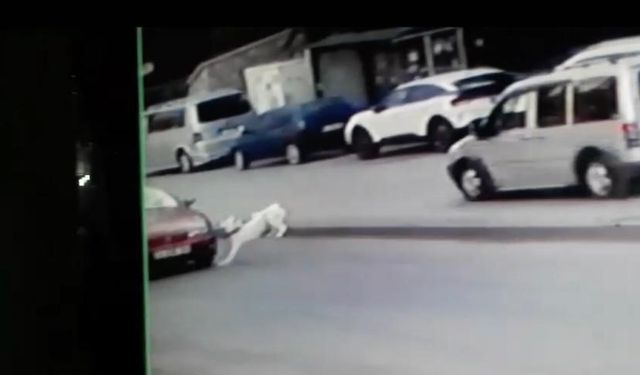 Ankara Keçiören ilçesinde köpeğe çarpıp kaçan sürücü güvenlik kameralarına yakalandı