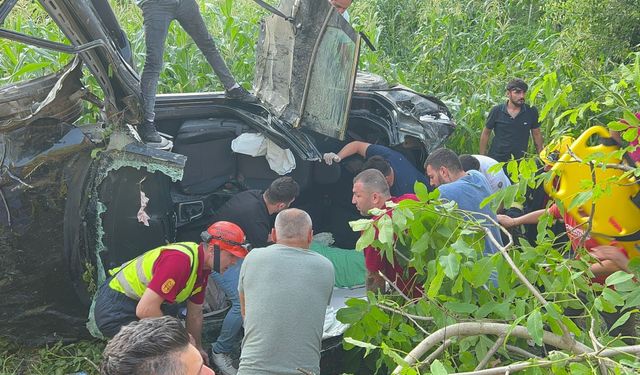 Zonguldak Devrek ilçesinde yayaya çarpan otomobil tarlaya devrildi: 1 ölü, 3 yaralı