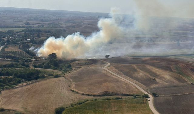 Adana Ceyhan ilçesinde ormanlık alanda yangın