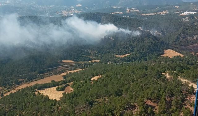 Bolu Göynük'te orman yangını çıktı