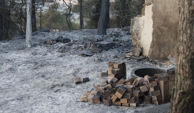 Hatay Belen ilçesindeki orman yangını kontrol altına alındı