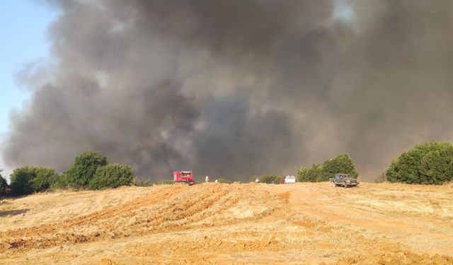Tekirdağ Malkara ilçesindeki orman yangını yerleşim yerlerini tehdit ediyor! Mahalleler boşaltılıyor
