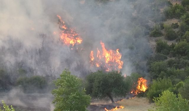 Çanakkale’de çıkan orman yangınında 28 saat geride kaldı