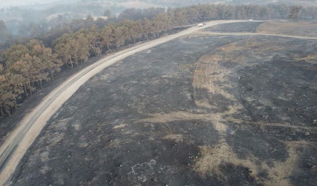Çanakkale'de orman yangınıyla mücadele sürüyor