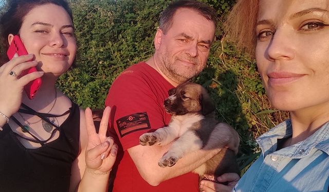 Bursa İnegöl ilçesinde tüfekle öldürülen köpeğin yavruları bulundu