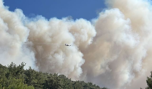 Manisa Saruhanlı ilçesinde orman yangını! Evler yandı, vatandaşlar tahliye ediliyor