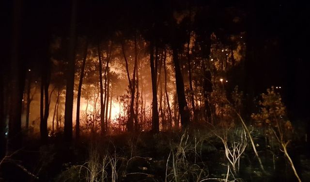 Antalya Kemer ilçesinde orman yangını