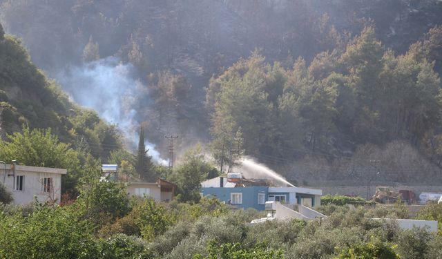 Antakya'da orman yangını kontrol altına alındı