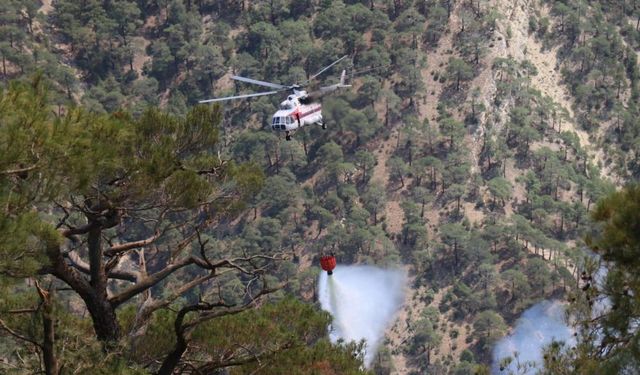 Bolu'da orman yangını: 15 hektarlık alan küle döndü