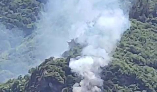 Bursa Kaplıkaya'da orman yangını