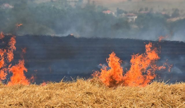 Edirne'de buğday tarlası alev alev yandı