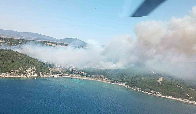 İzmir'de iki farklı noktada orman yangını çıktı