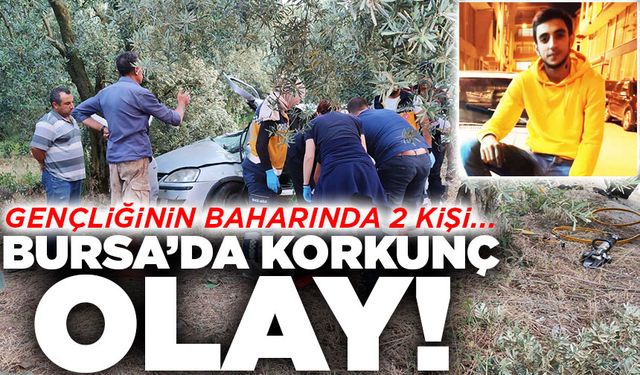Bursa'da kontrolden çıkan otomobil zeytinliğe uçtu: 1 ölü, 1 yaralı