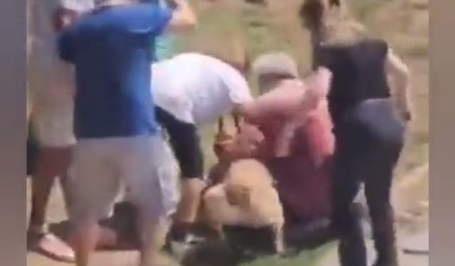 Kadıköy Moda Sahili'nde yaşlı çifte köpek saldırdı