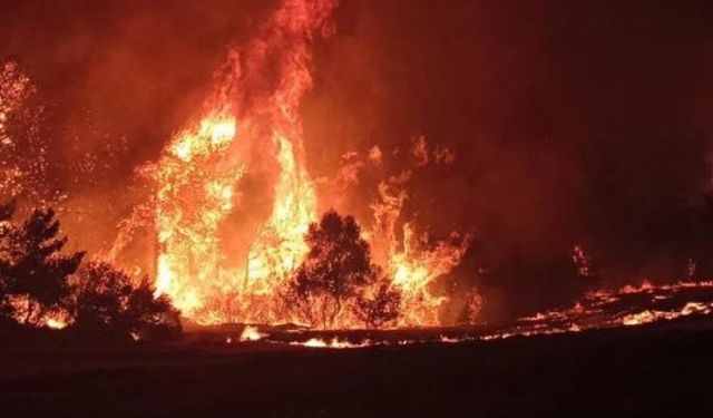 Çanakkale'deki orman yangınına aralıksız müdahale