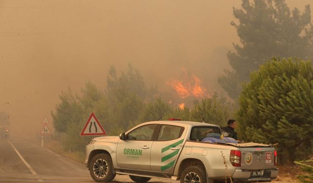 Çanakkale'de orman yangını! Bakan Yumaklı duyurdu: 6 köy tahliye edildi