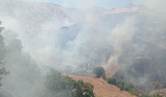 Malatya Pütürge ilçesinde orman yangını