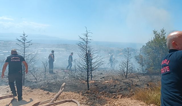 Kocaeli Gebze ilçesinde ağaçlık alanda çıkan yangında kundaklama iddiası