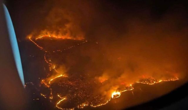 Hawaii yangınında can kaybı 53 oldu