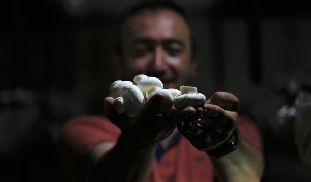 Bursa Keles ilçesinde Mustafa İyitürk 1200 rakımda günde 200 kilo mantar üretiyor