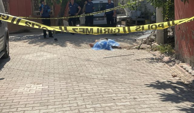 Adana'da elektrik işçisi akıma kapılarak hayatını kaybetti