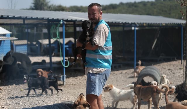 HEPAD terk edilen köpeklere sahip çıkıyor